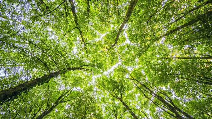 Kein Titel (1920 x 1080 px) (LinkedIn-Werbeanzeige mit Einzelbild) - 33 Kein_Titel__1920_x_1080_px___LinkedIn-Werbeanzeige_mit_Einzelbild__2_.jpg